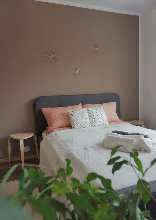 Cozy Apart Toplita Dış mekan fotoğraf